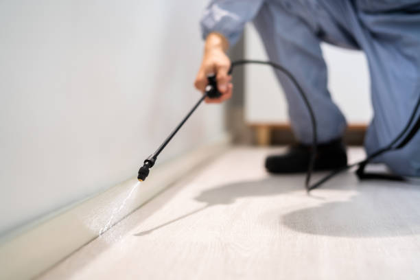 Licensed Mosquito Control service in Olney, TX - Show Me Pest Control