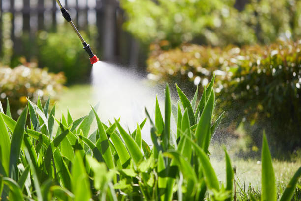 24/7 Emergency Mosquito Control experts in Olney, TX