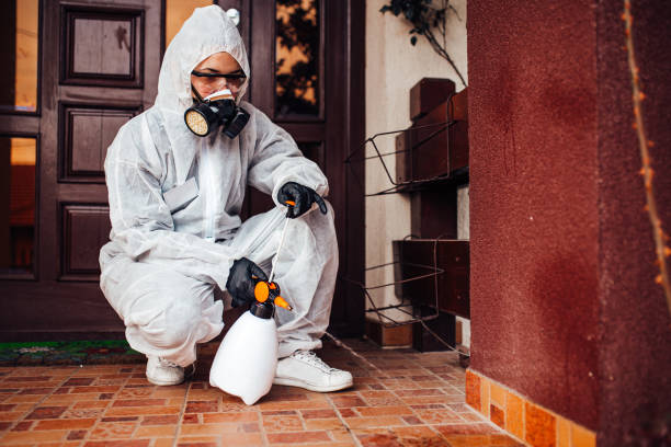 Reliable Mosquito Control contractor in Olney, TX by Show Me Pest Control